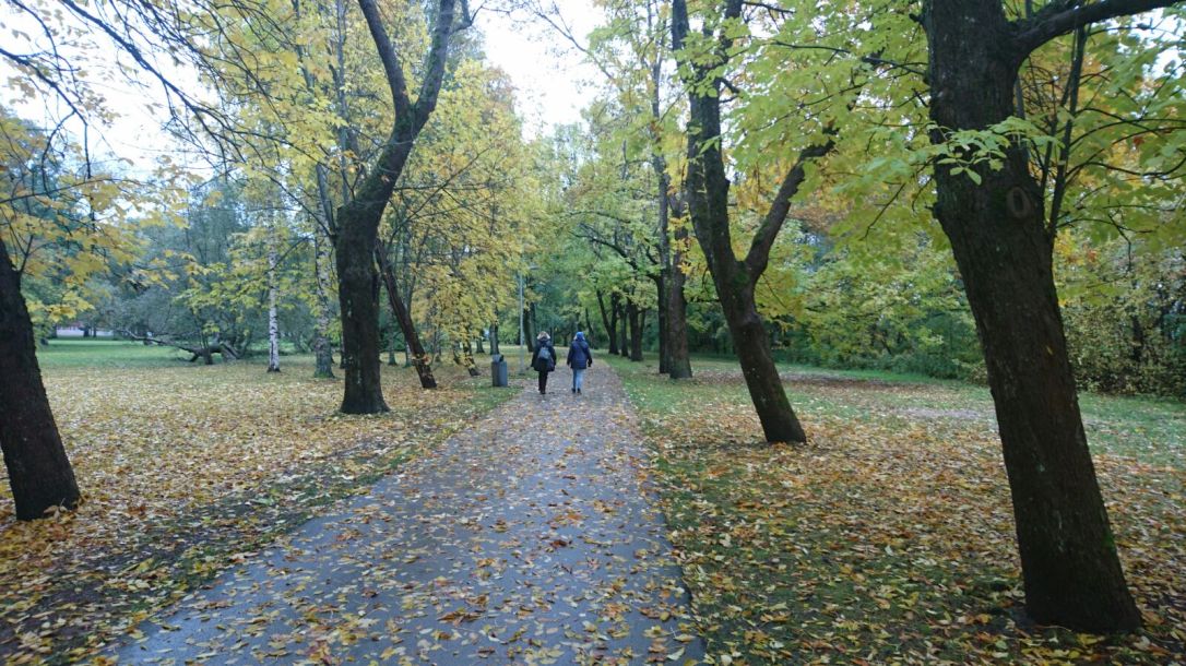 2017-10-16-PHOTO-00000025