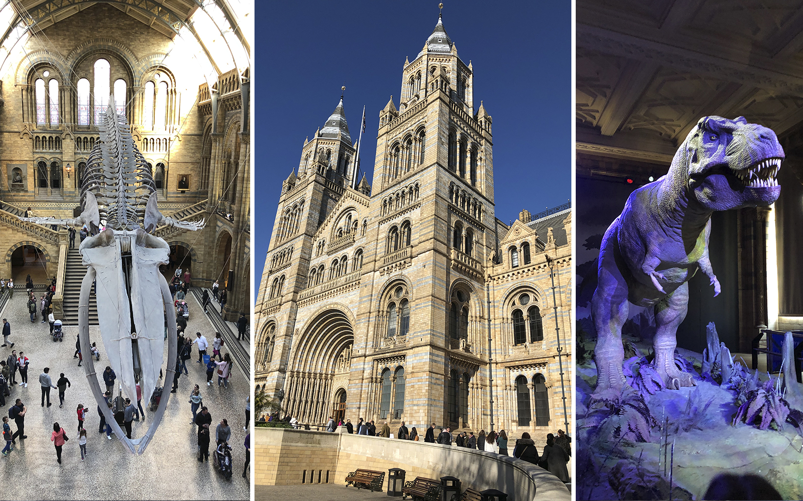 harry_potter_natural_history_museum